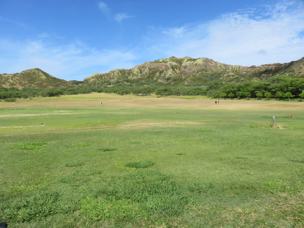 Diamond head