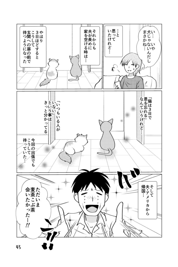 夫と猫