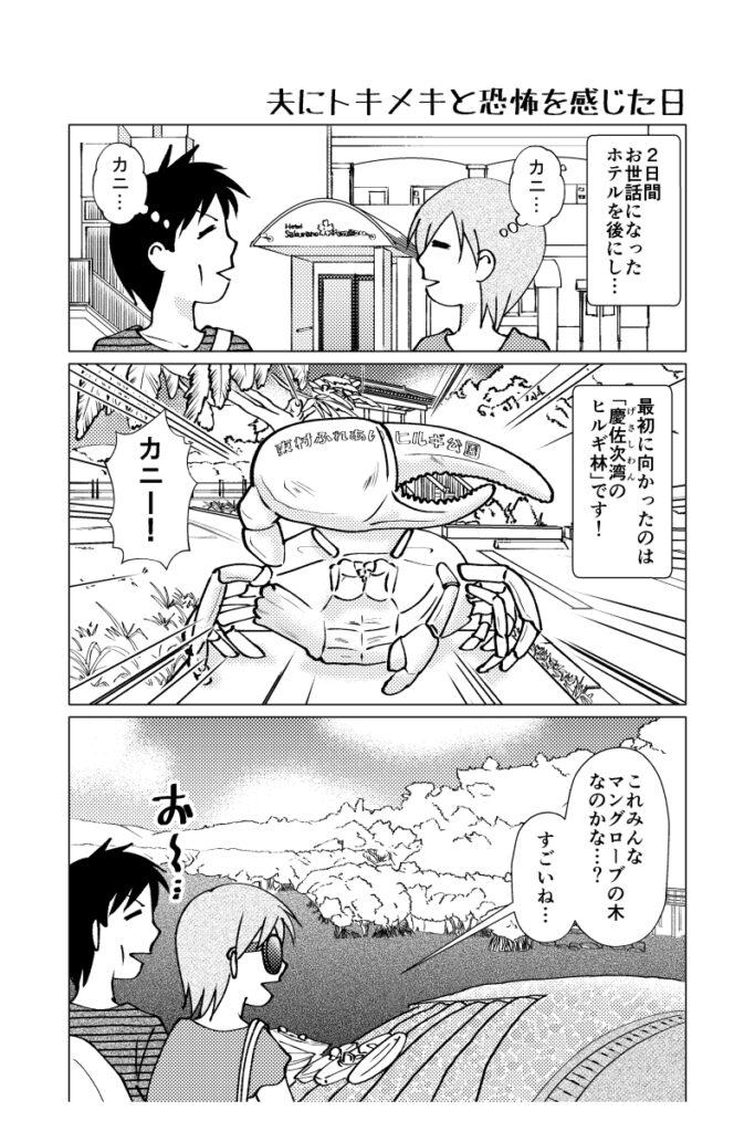 夫にトキメキと恐怖を感じた日 慶佐次湾のヒルギ林,マングローブ,